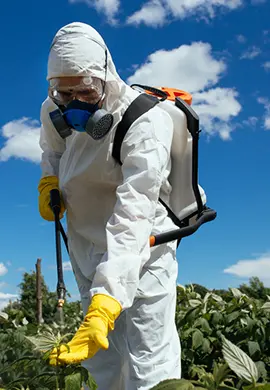 Pesticide